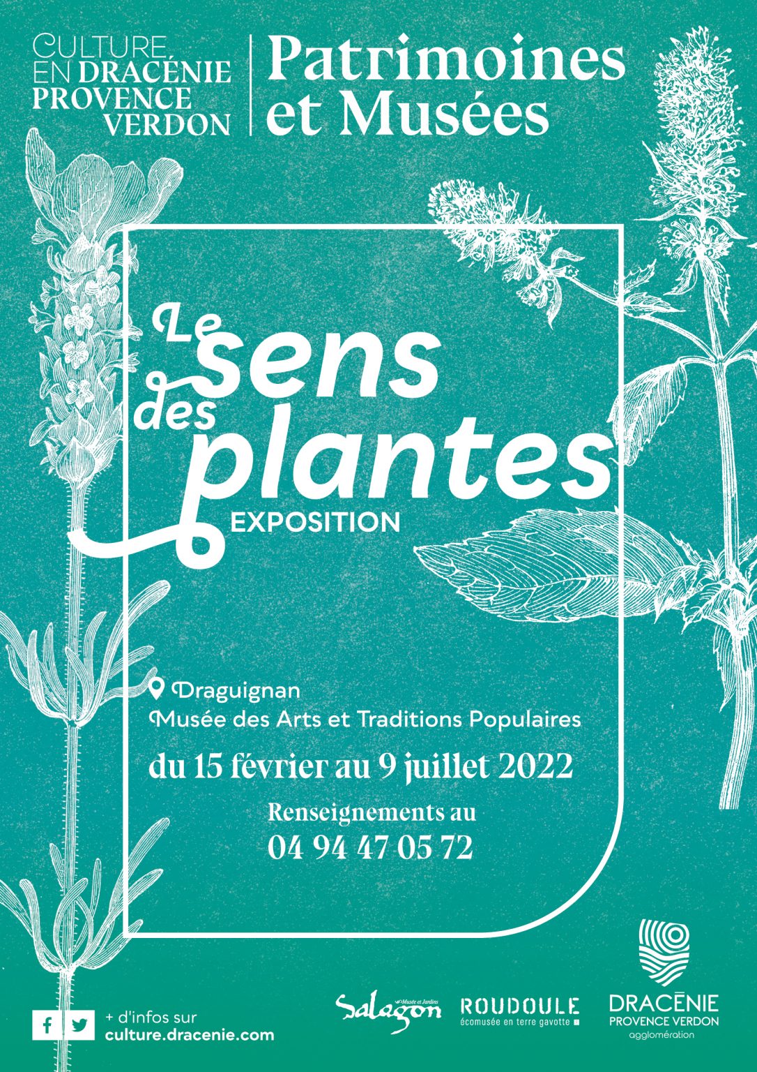 Exposition Le Sens des plantes - Culture en Dracénie