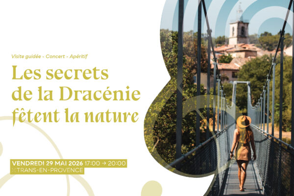 Secret de la dracénie